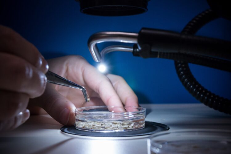 See the list of institutions VAUD AMBASSADEUR