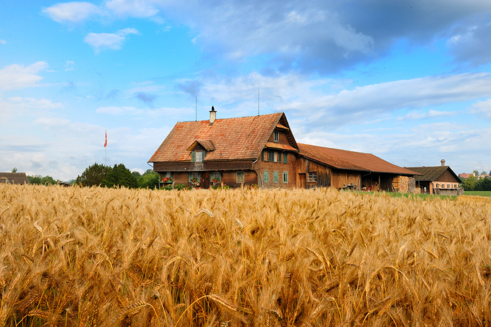 Ferme vaudoise