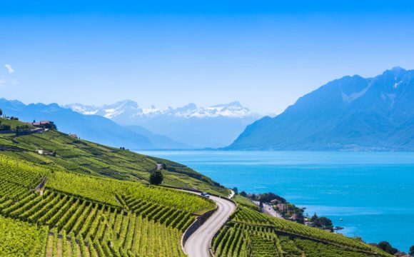 L'emission Télématin de France 2 découvre Lavaux