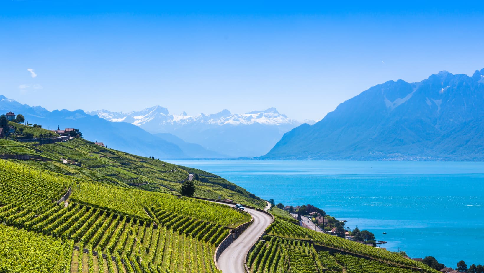 L'emission Télématin de France 2 découvre Lavaux