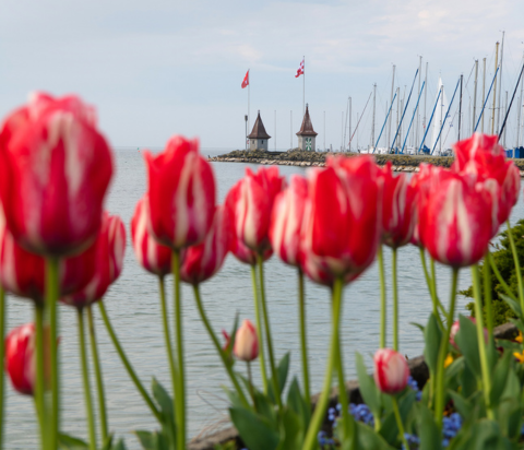 Association Morges Fleur du Léman