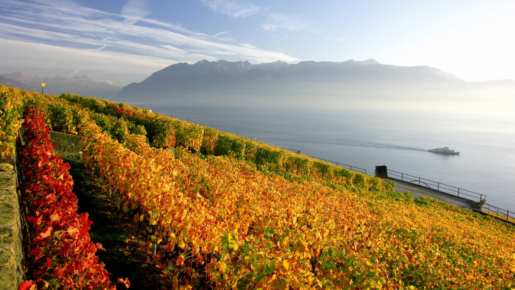 Lavaux en automne