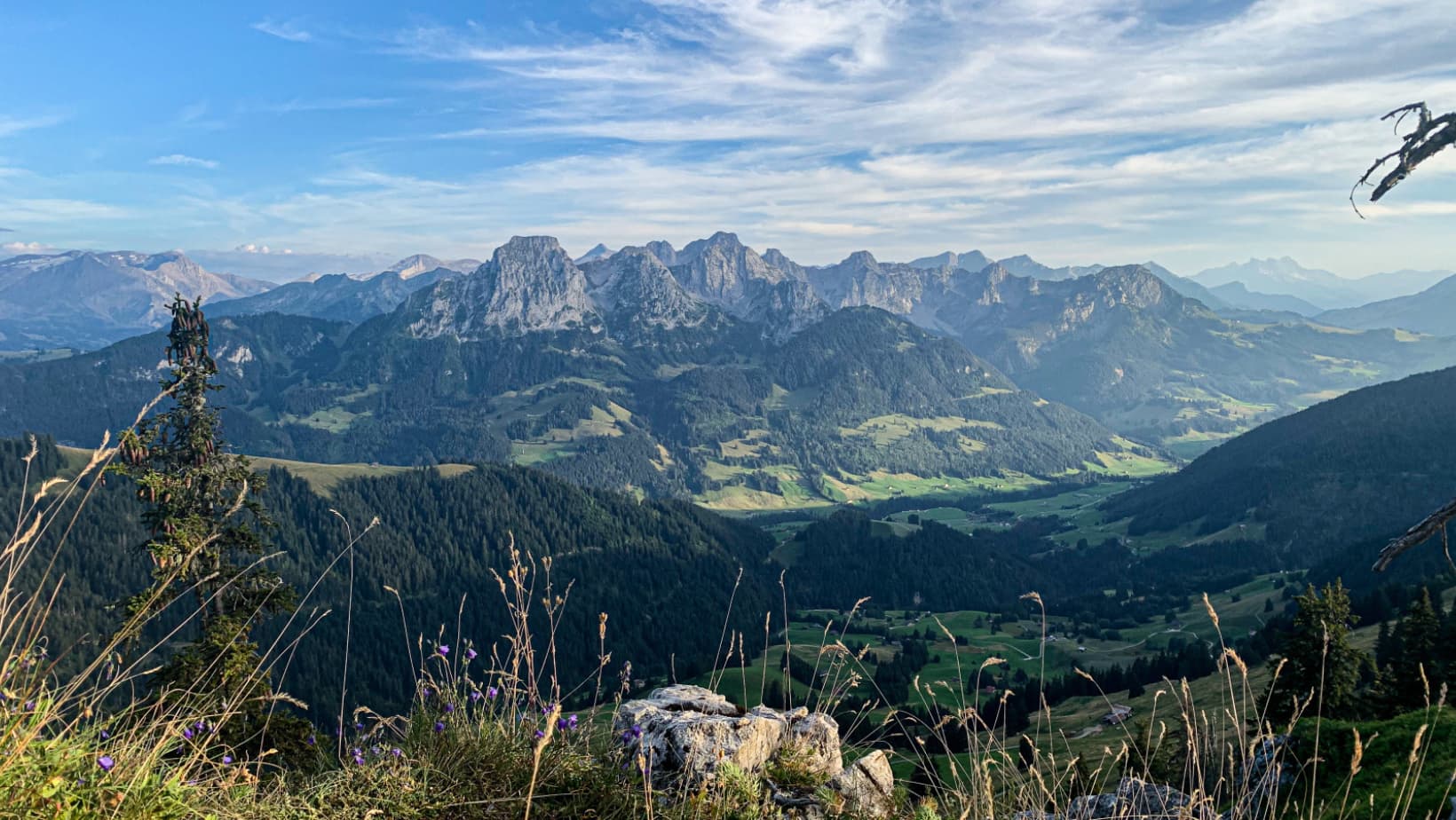 Paysage Rübli dans les Alpes Vaudoises