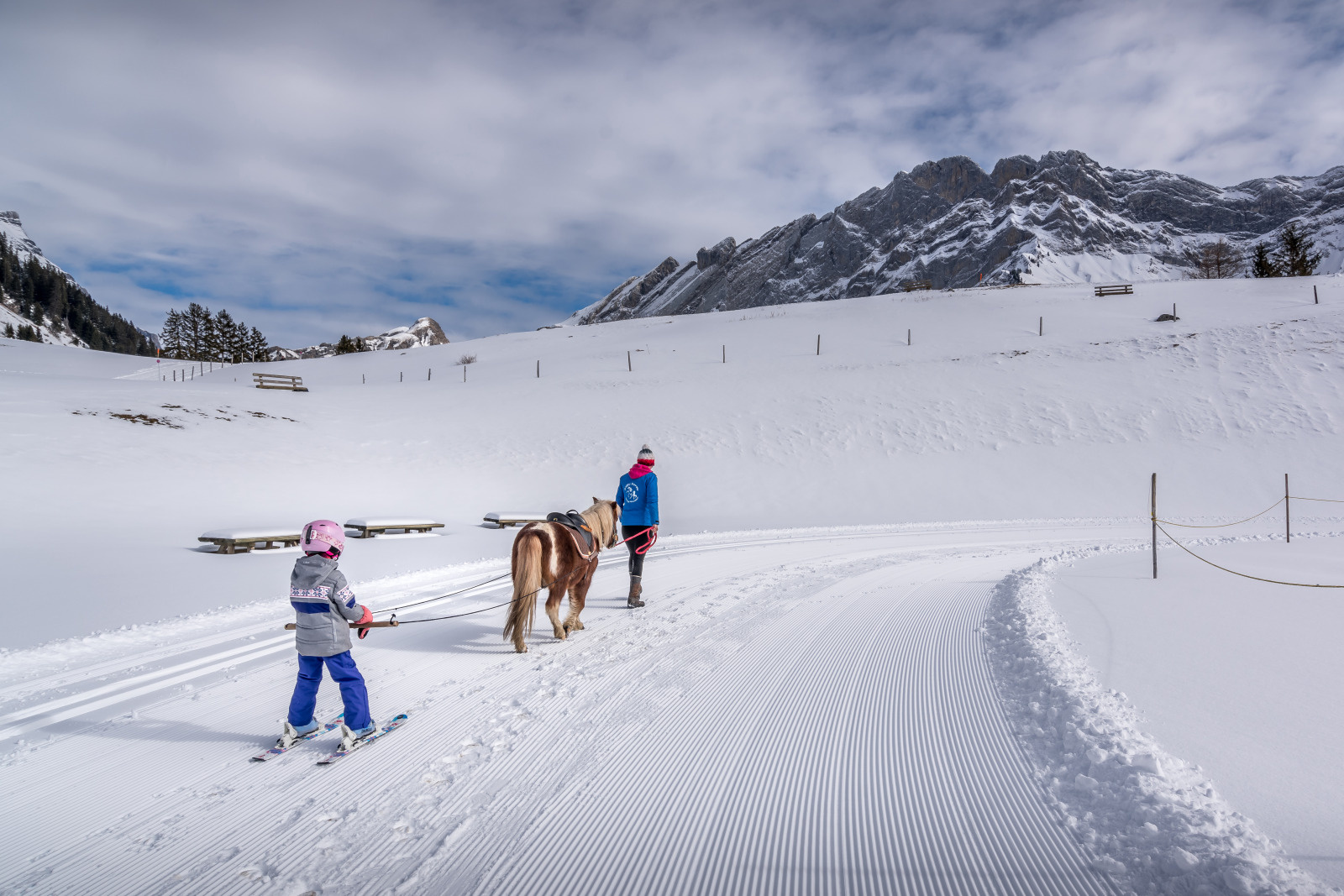 Gryon ski joring Espace Frience ©Packedagain