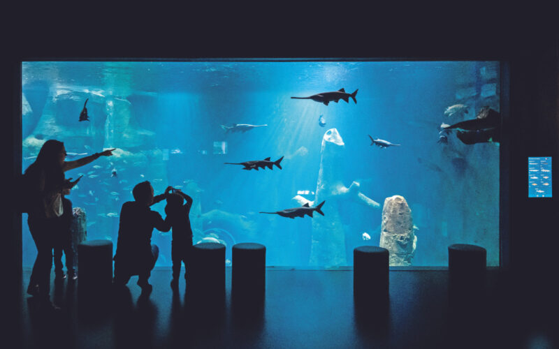 Aquatis - Aquarium-Vivarium 