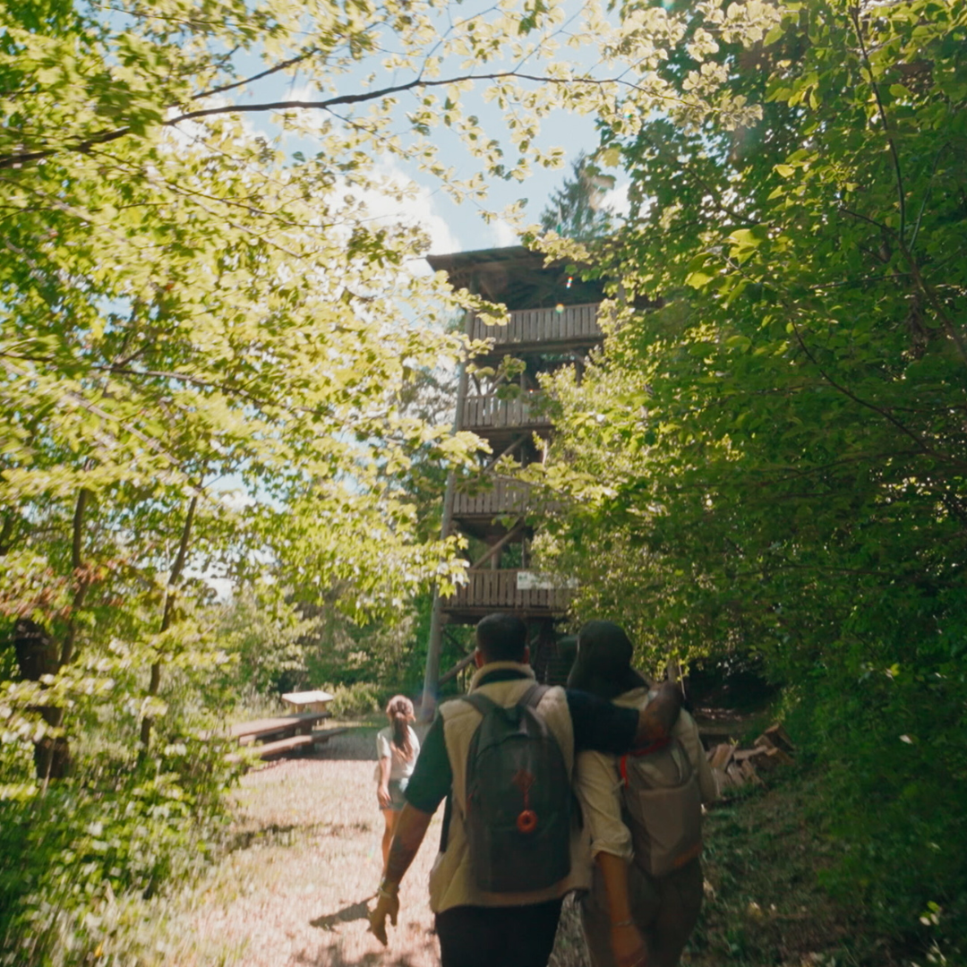 Le Bois des Brigands, Thierrens