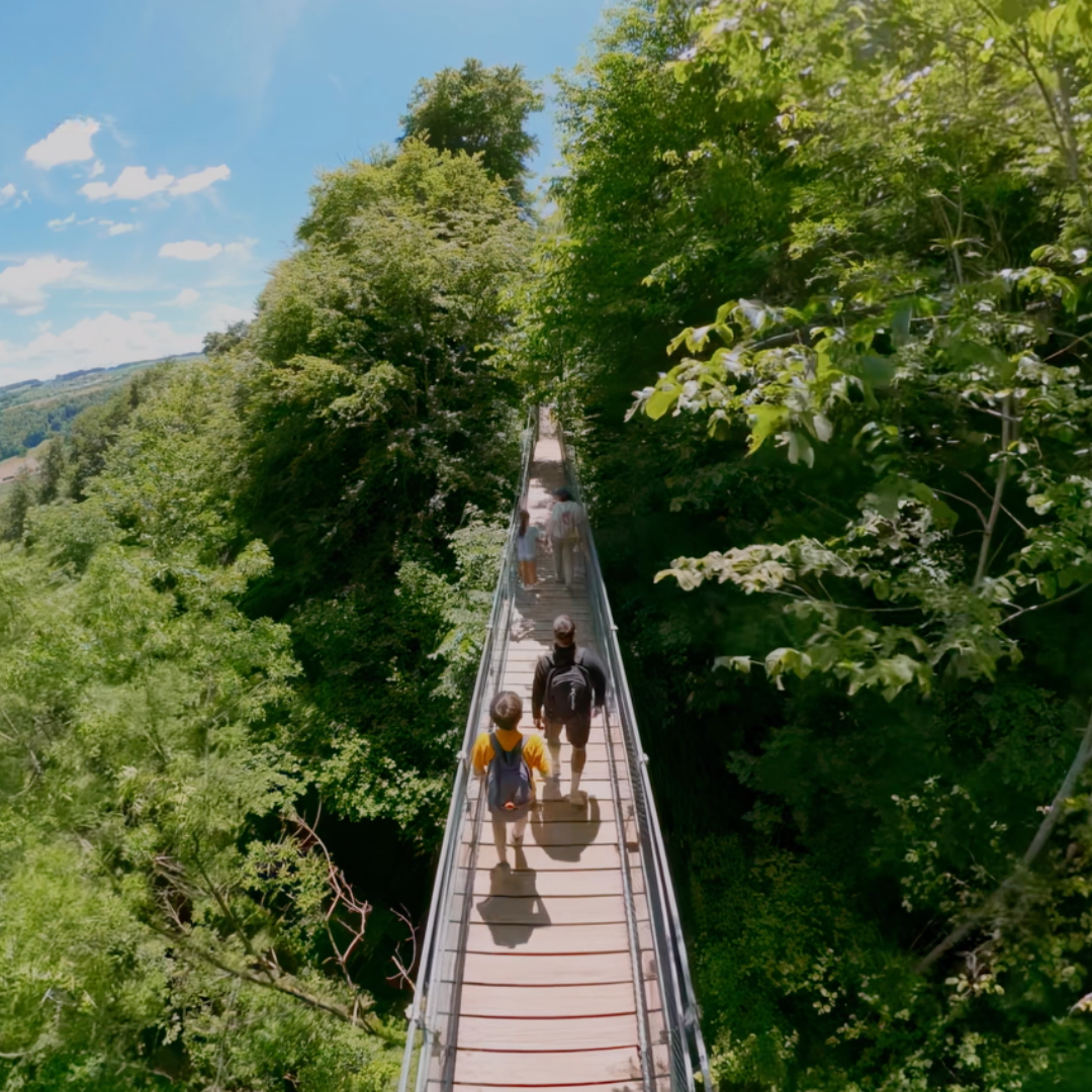 Pont de Cremin à Moudon