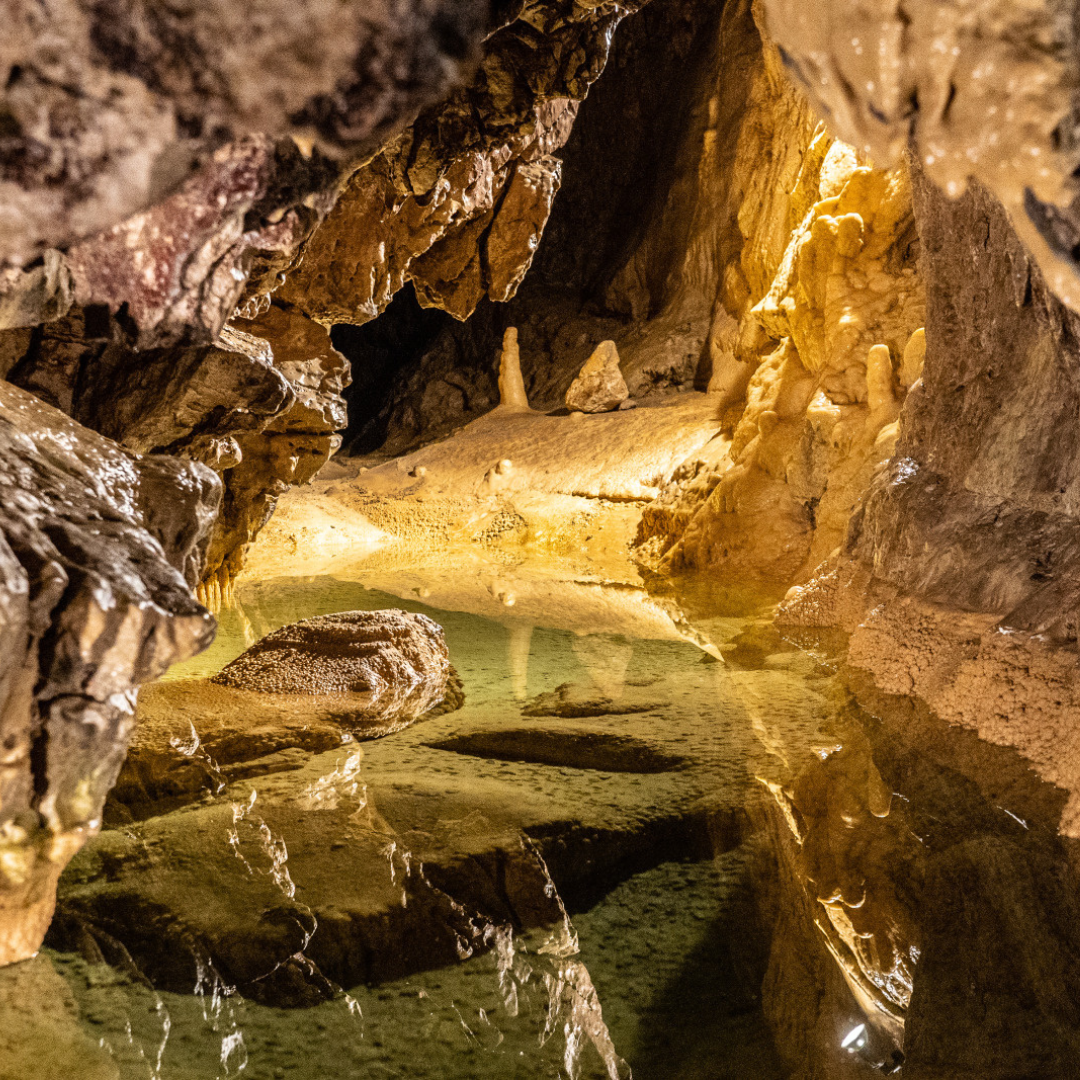 Grottes de Vallorbe
