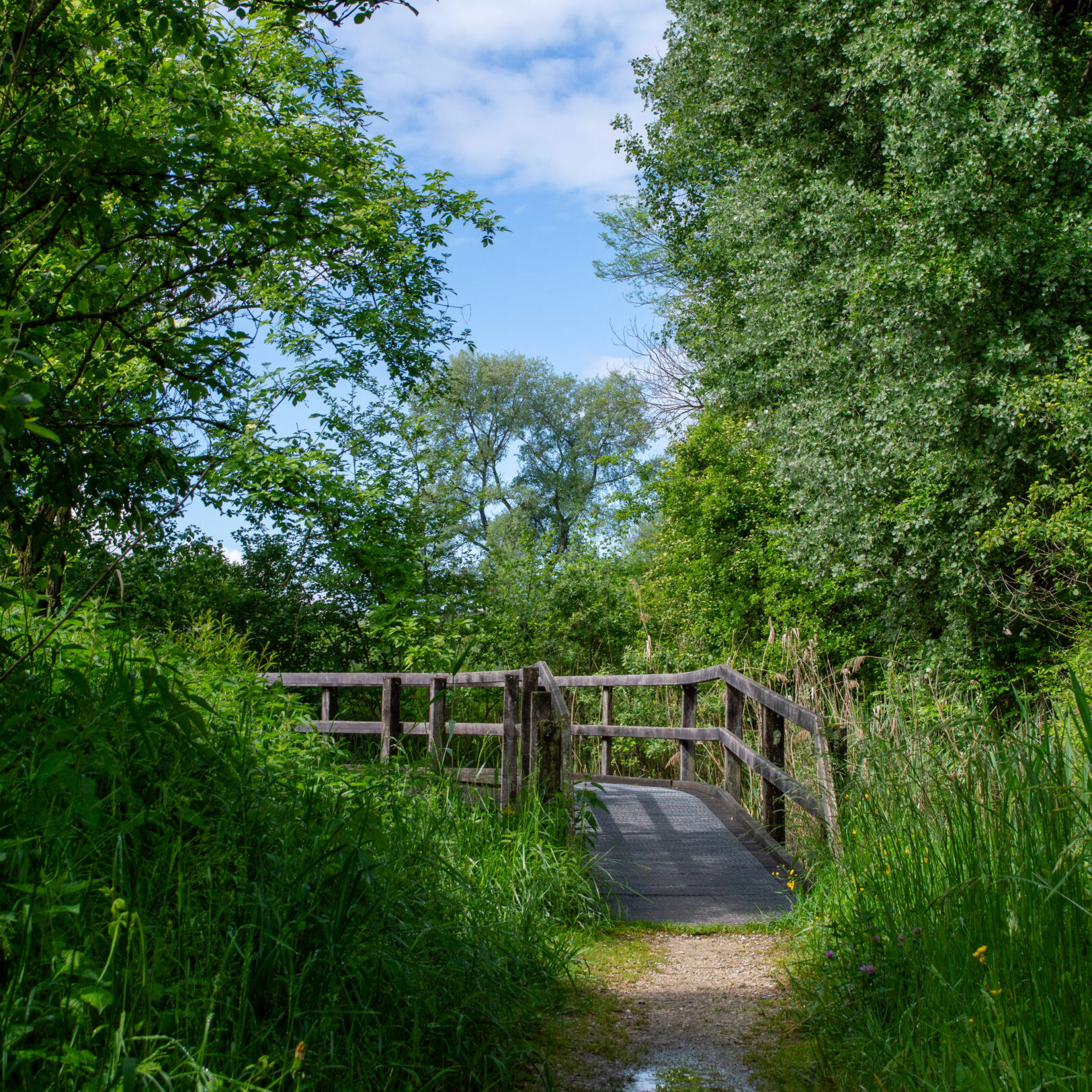 Autumn hikes in the Payerne countryside