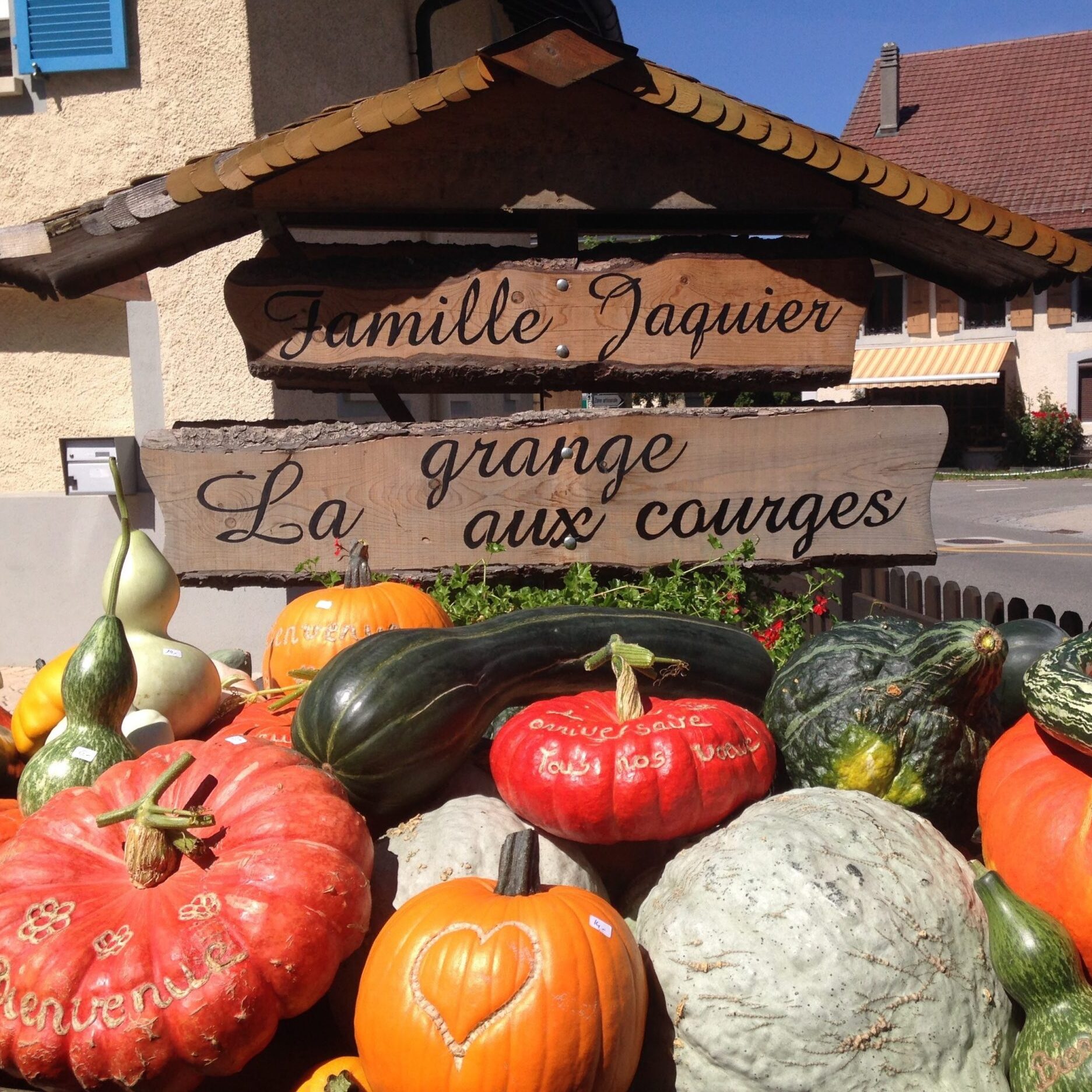 Visit to the pumpkin barn in Goumoëns