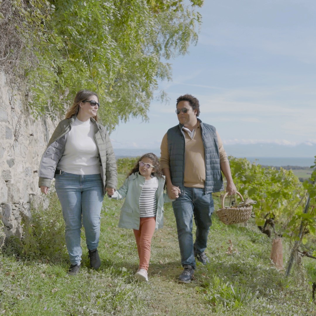 The chestnut trail between the forest and vineyards of La Côte