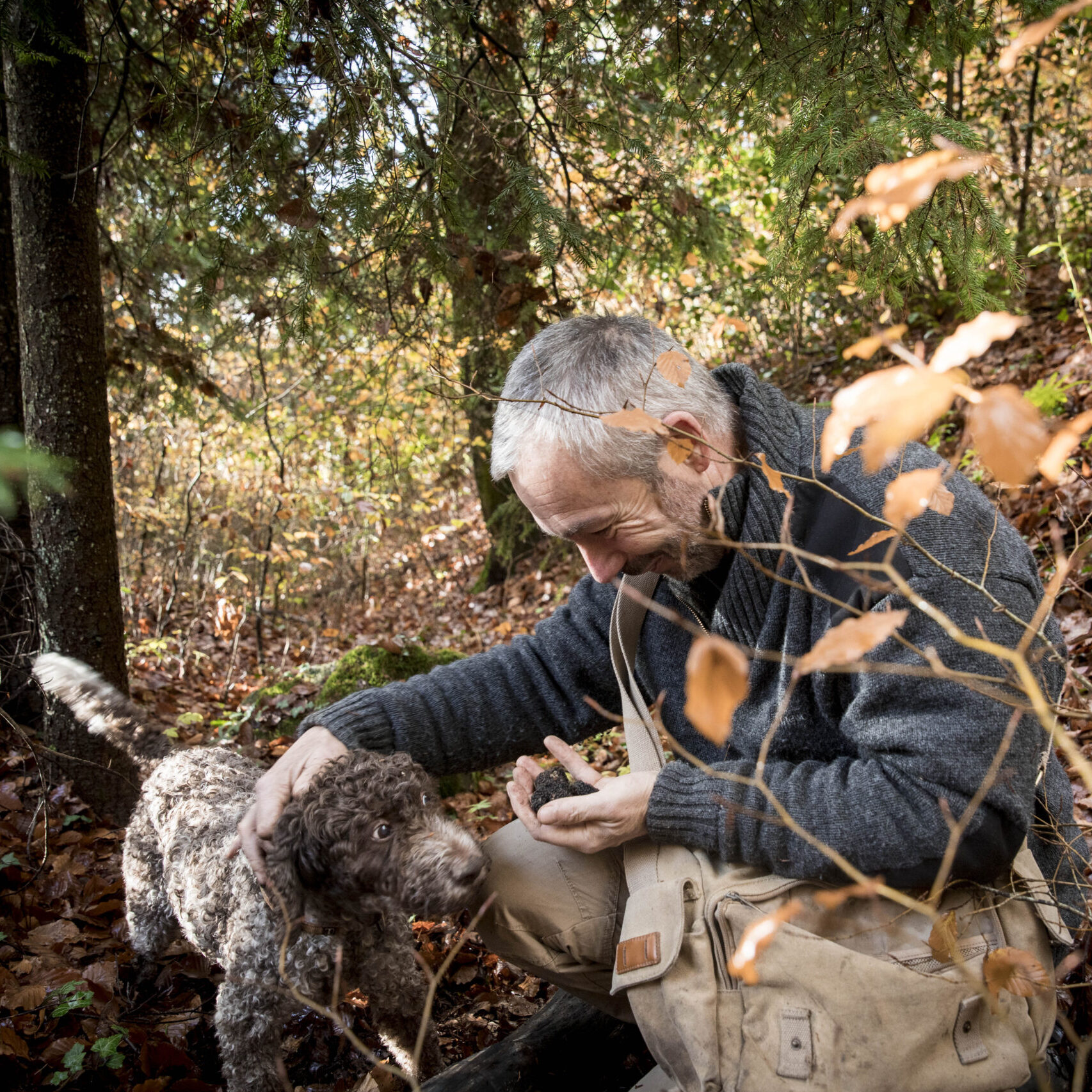 Activities around the truffle in the Nord vaudois