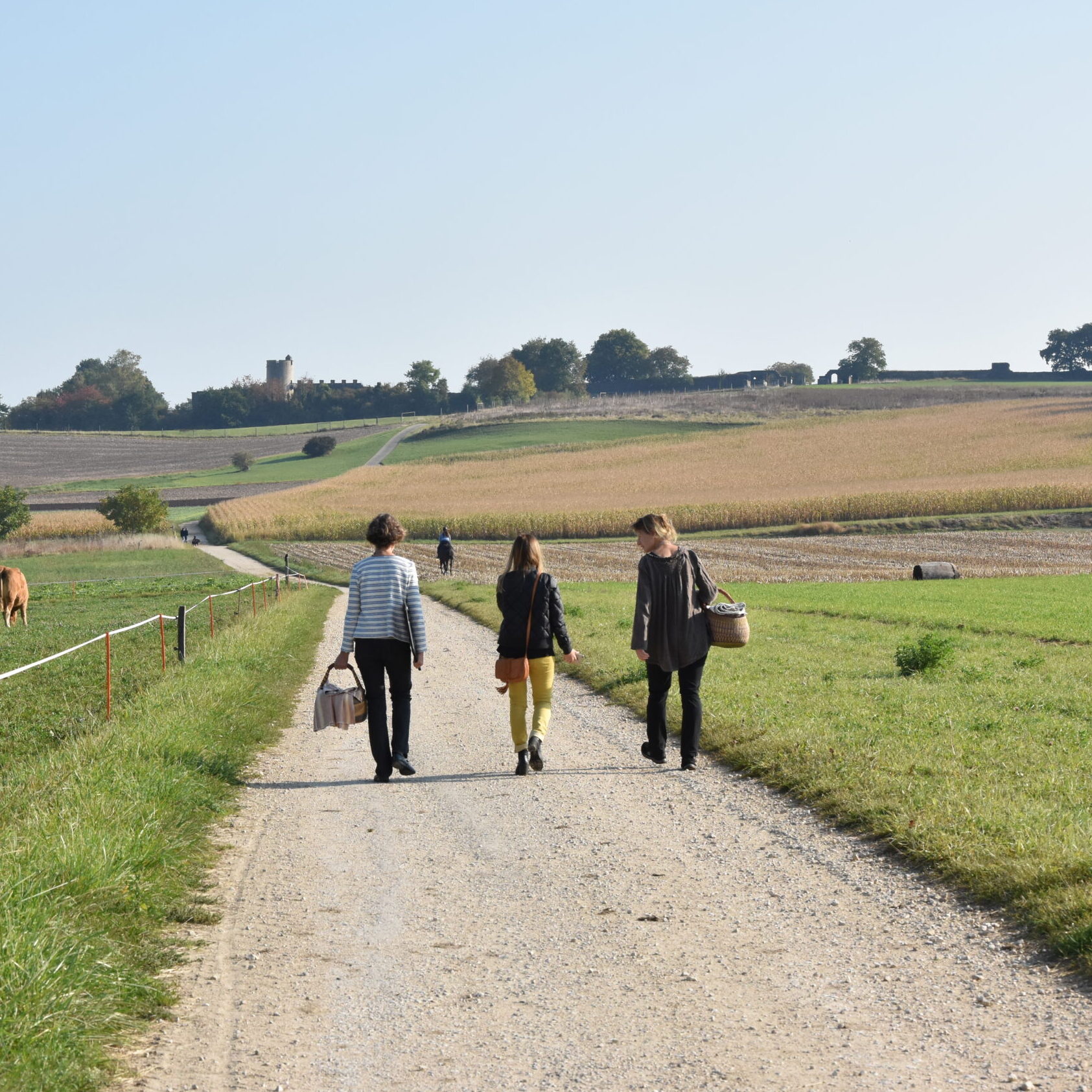 Guided Tour – A Gourmet Walk, Roman-style in Avenches
