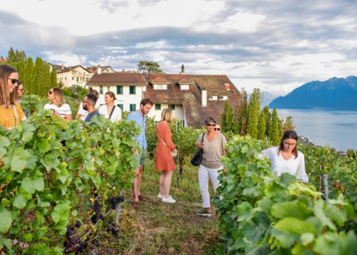 A la table du vigneron - Des moments gourmands et de partages