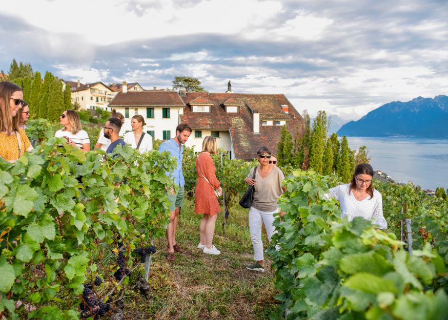 Beim Winzer zu Tisch – Momente zum Geniessen und Teilen