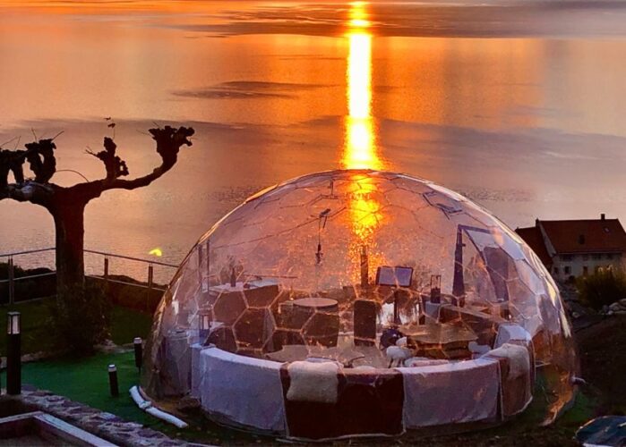 Domaine Vitis Musicalis - Expériences originales 