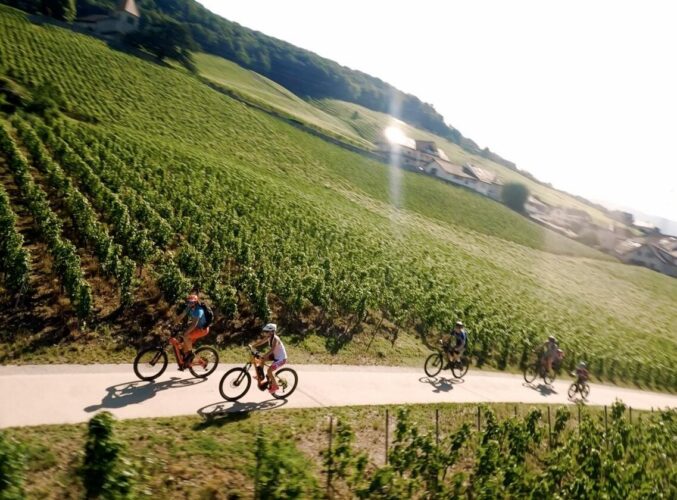 Jura Vaud Bike - Découverte des domaines viticoles du Chasselas et Diolinoir