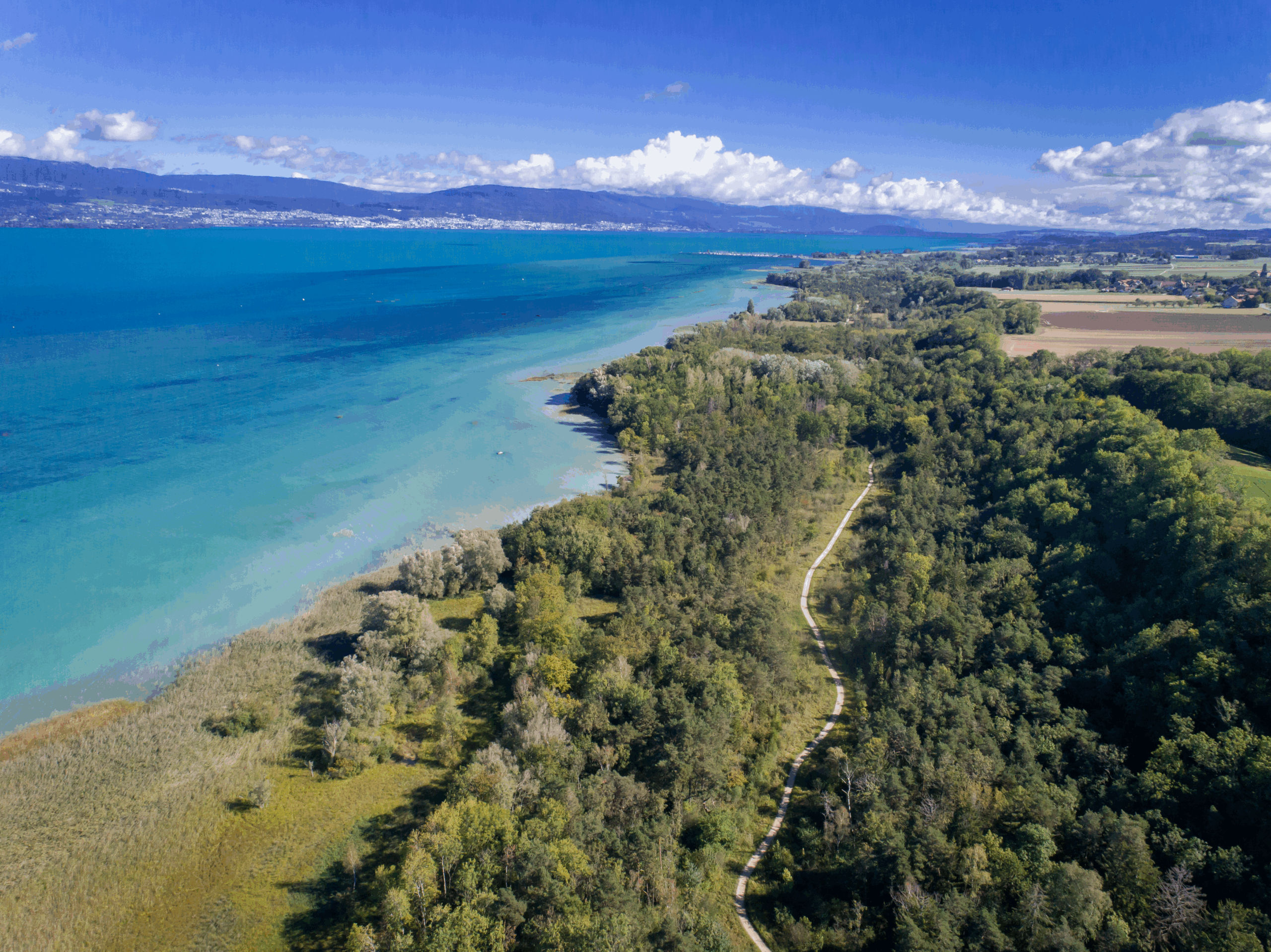 La Grande Cariçaie - Activités pour découvrir cette réserve naturelle