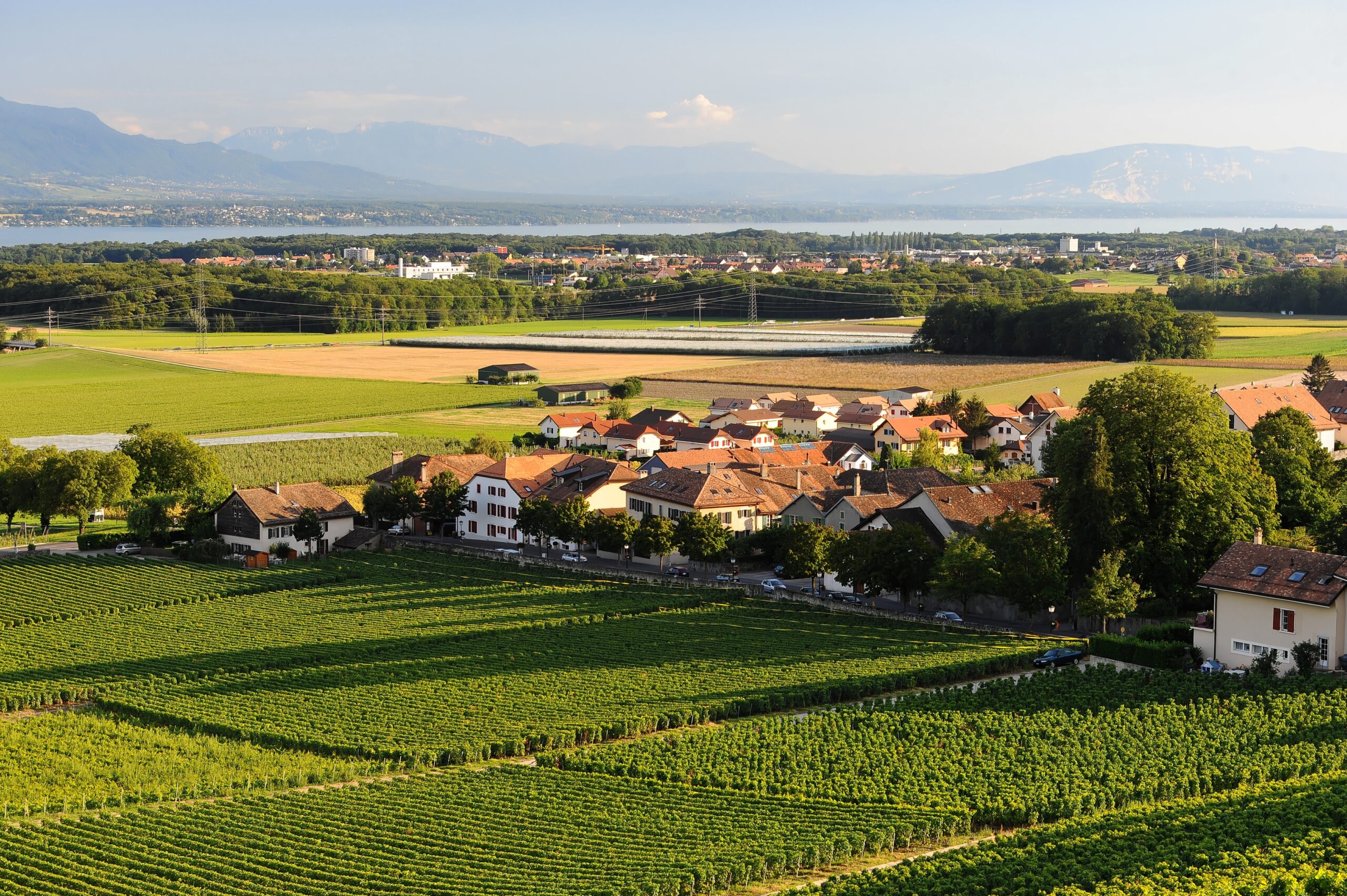 Balade oenotouristique de Vinzel, Luins et Bursins