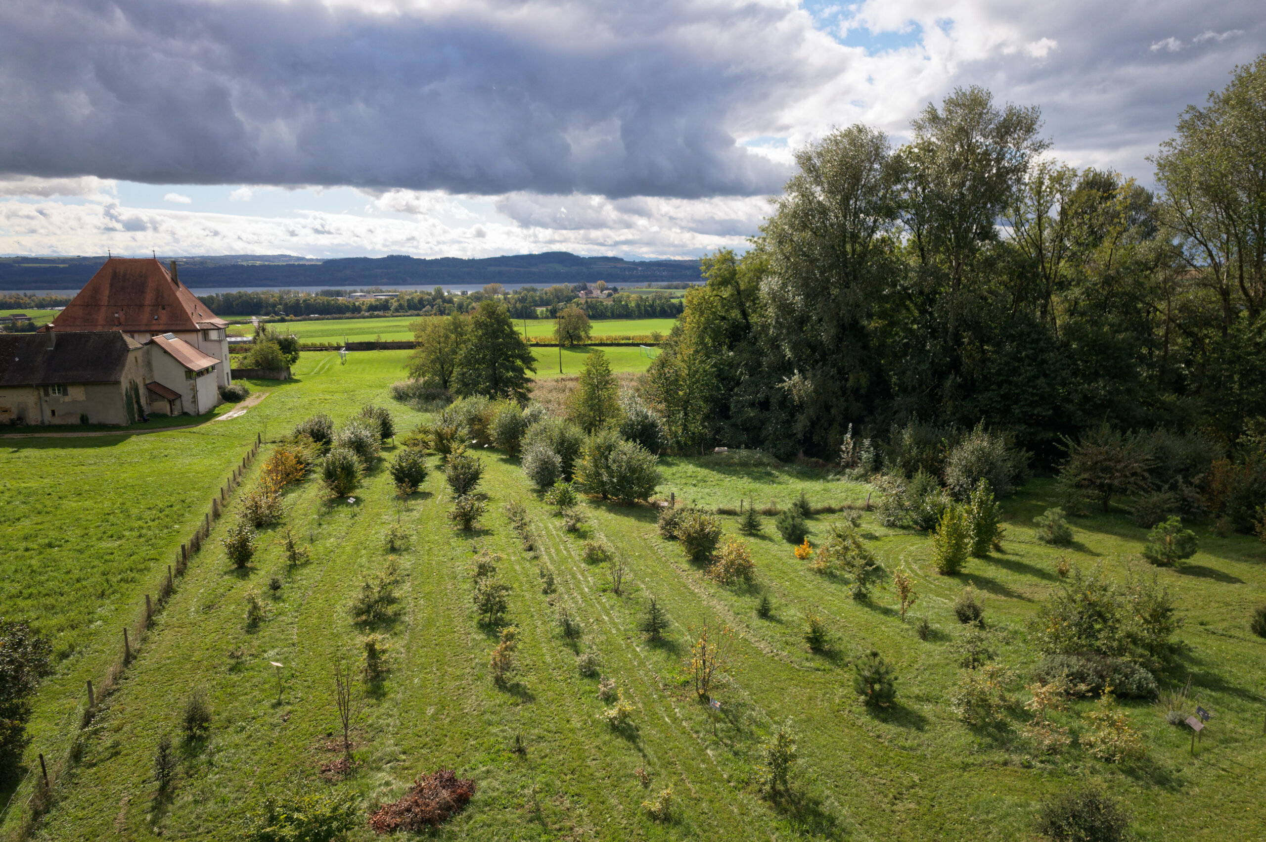 Truffière didactique à Bonvillars - La première d'Europe !