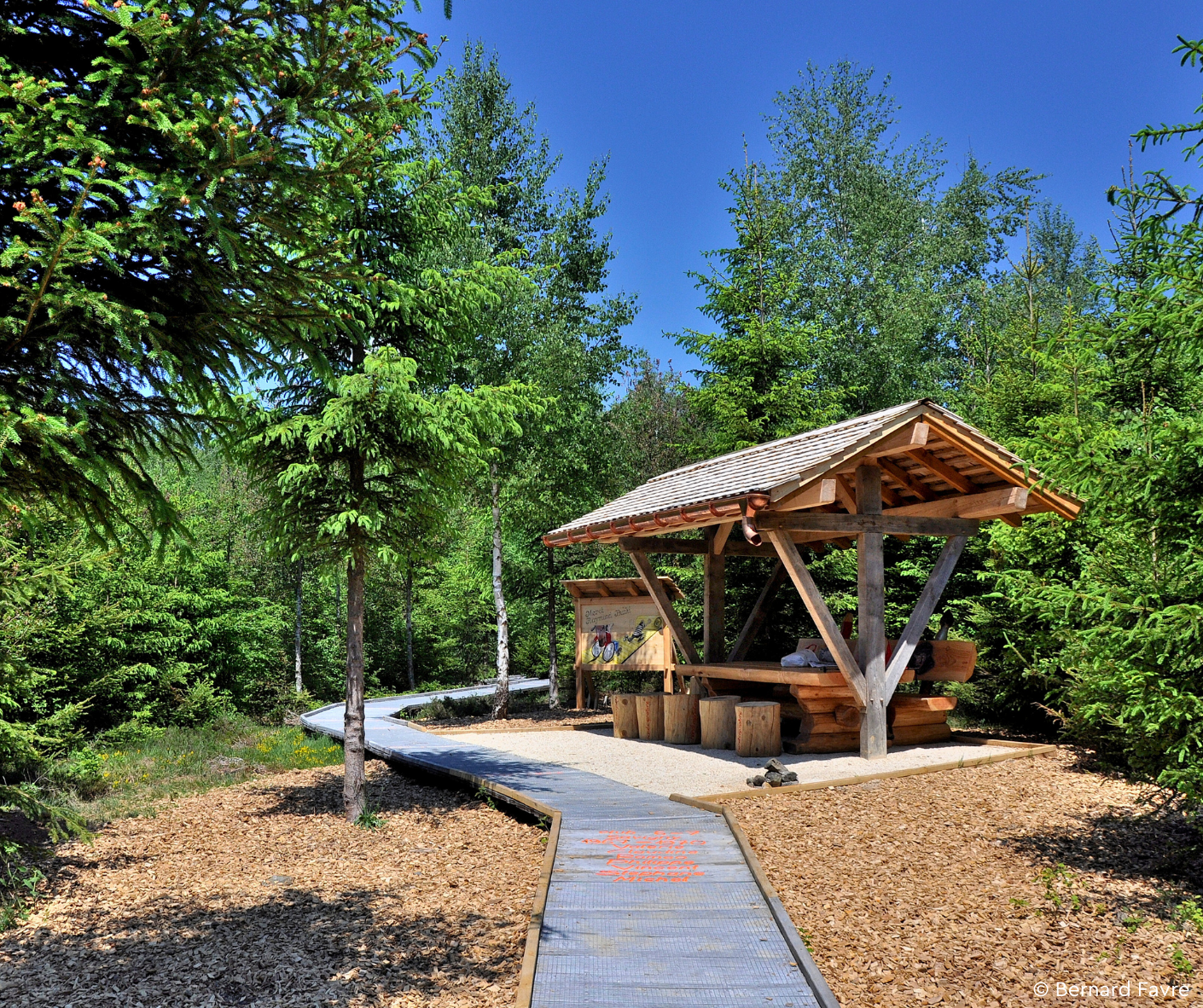 Sentier Handicap et Nature à Villars-Tiercelin - Balade aménagée en forêt