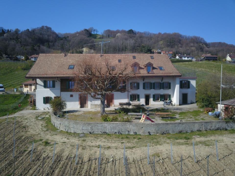Domaine de Bellevue à Mont-sur-Rolle - appartement de vacances au milieu des vignes