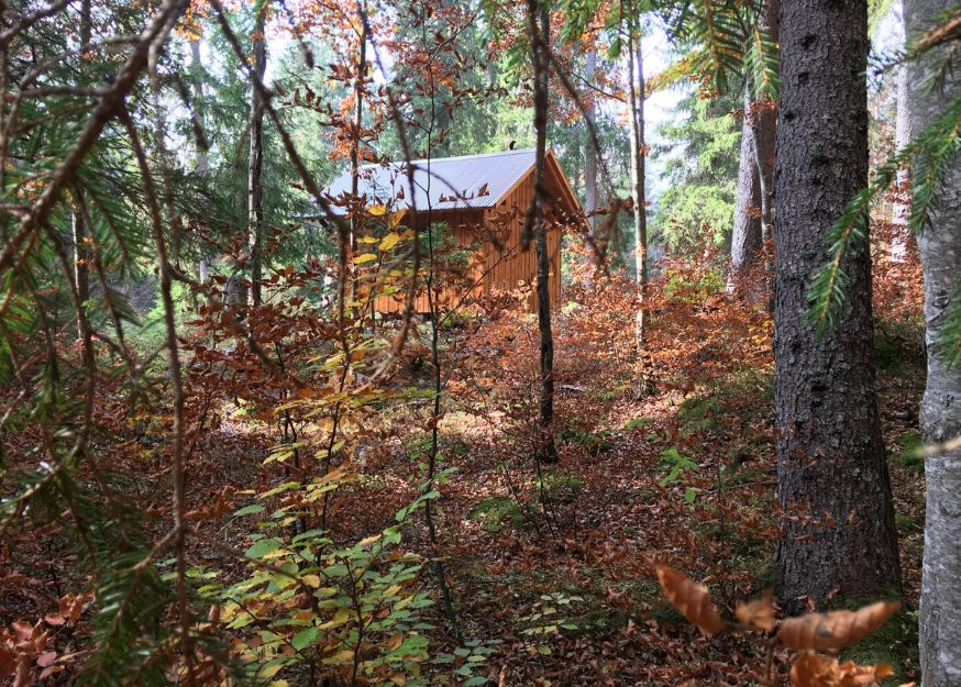 Vallée de Joux - Randonnée gourmande dans la forêt du Risoud