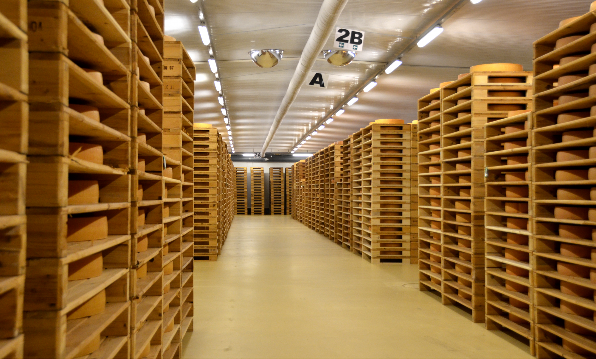 Moudon - Visite de la Fromagerie de Moudon