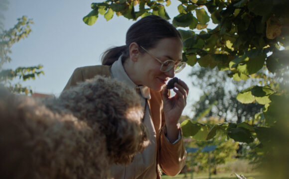 L’automne se savoure dans le canton de Vaud