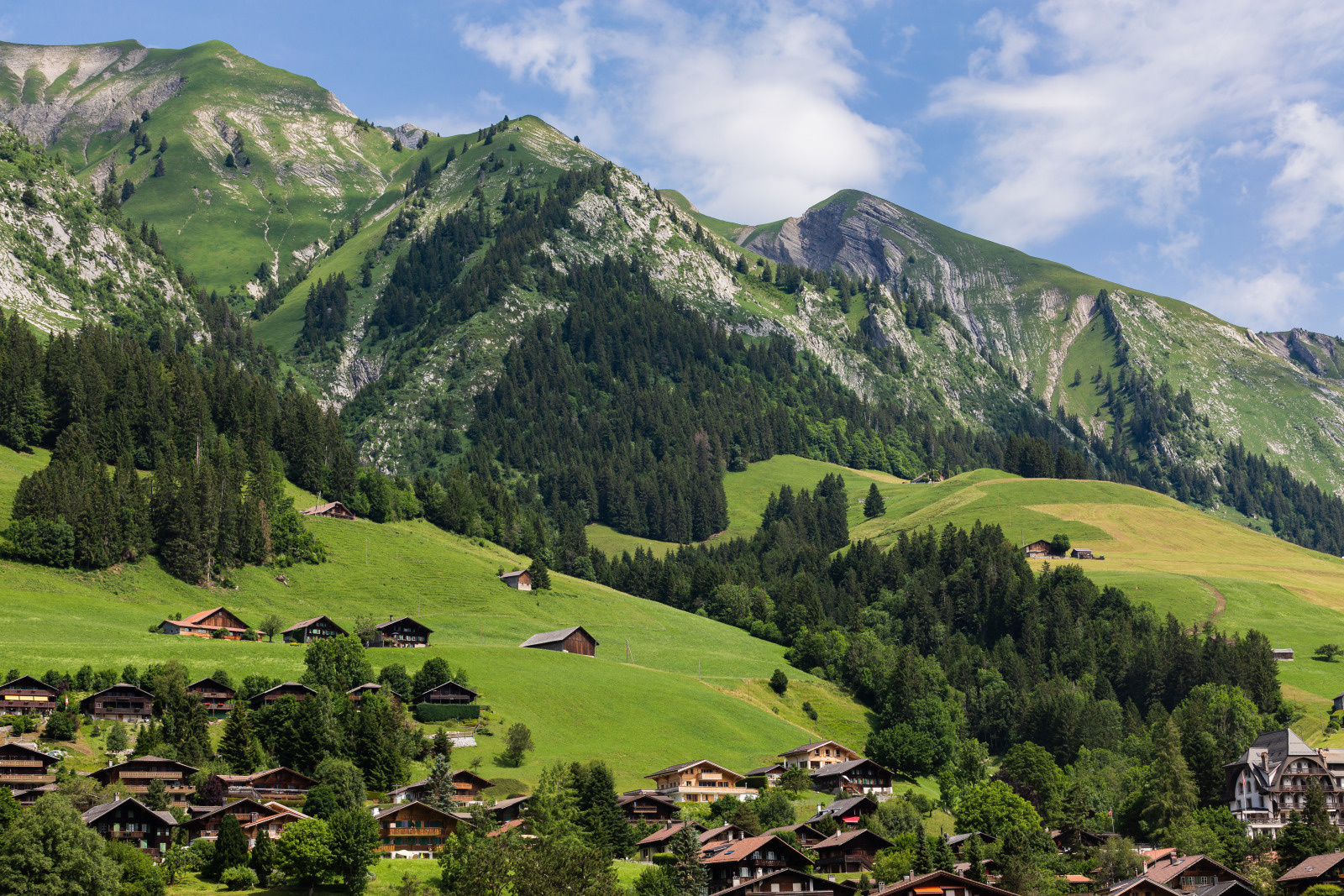 Chateau D'Oex Paysage