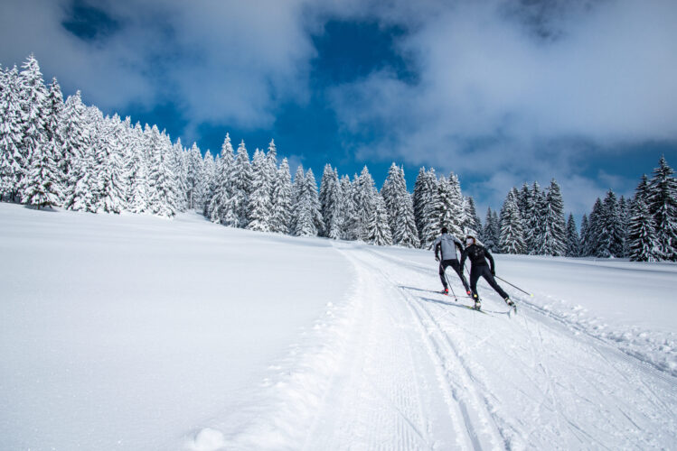 Vallée de Joux