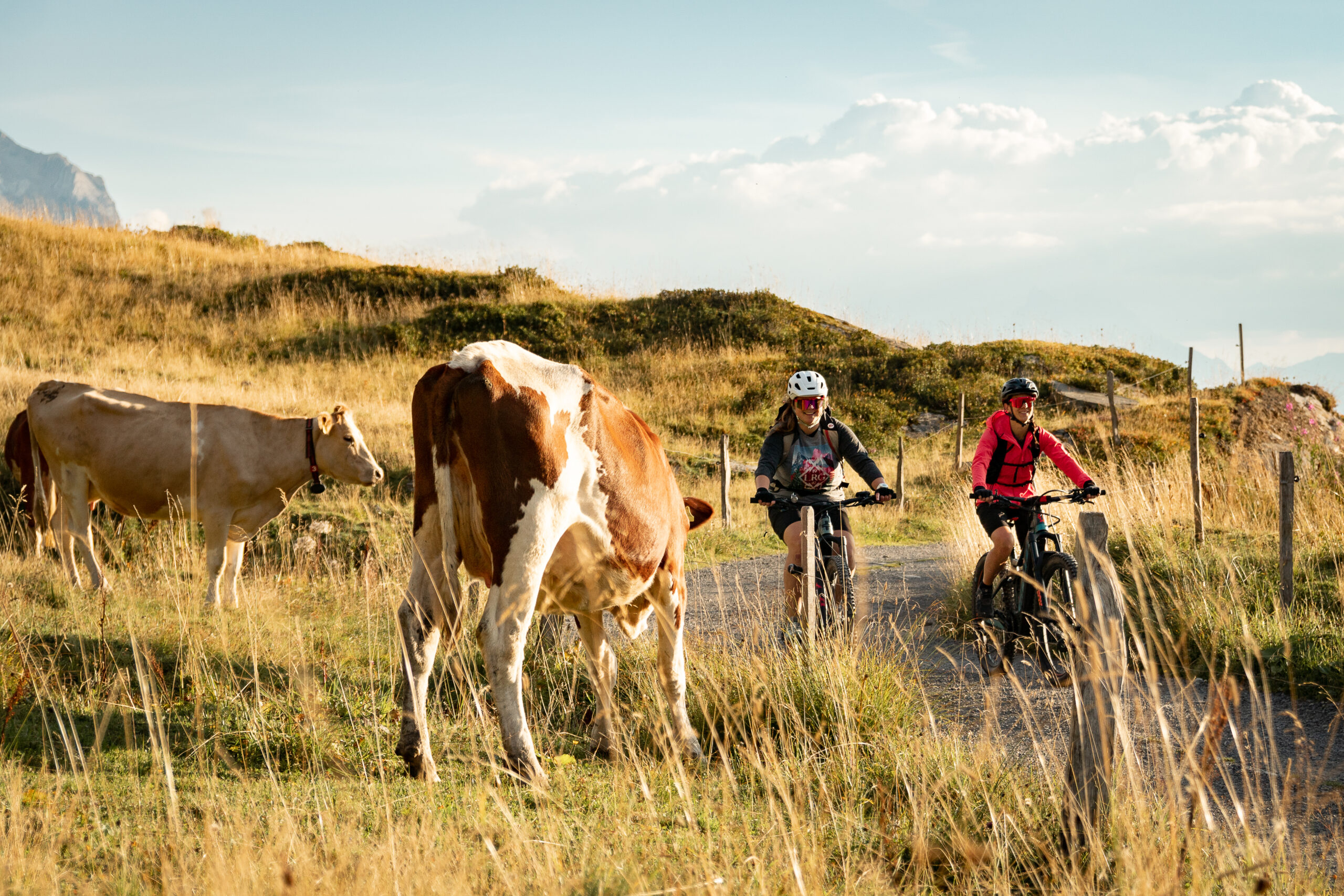 Eurotrek - Offres VTT