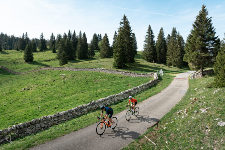 Eurotrek - Road bike and e-bike offers