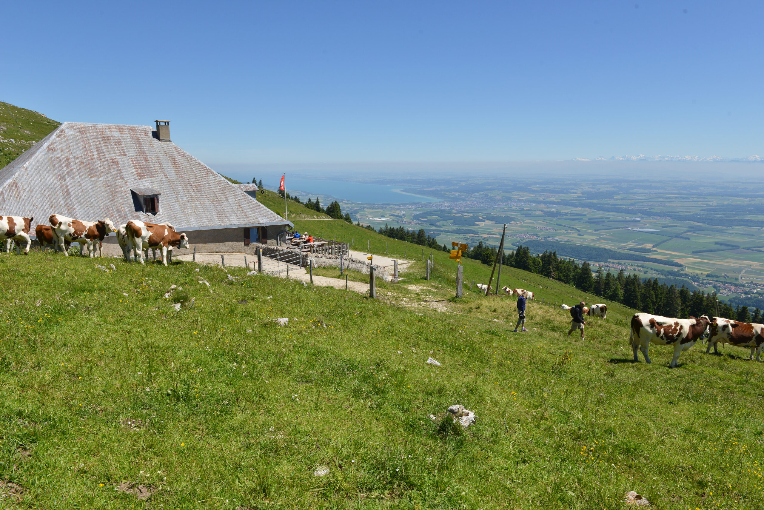Yverdon-les-Bains et Région