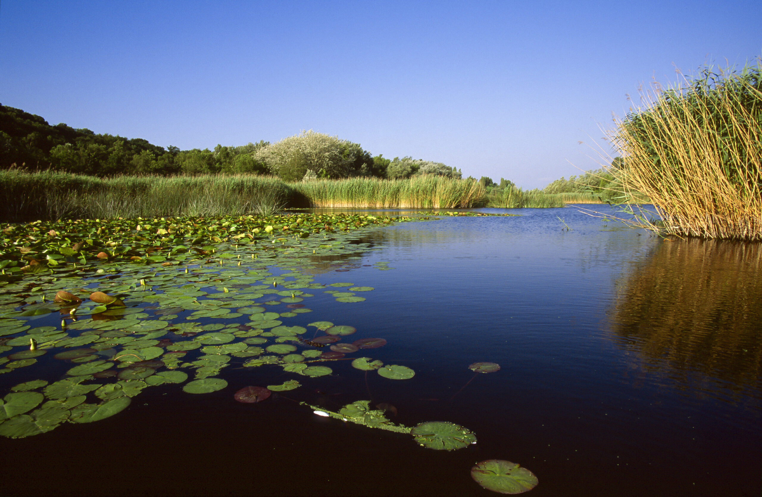 Yverdon-Les-Bains Région