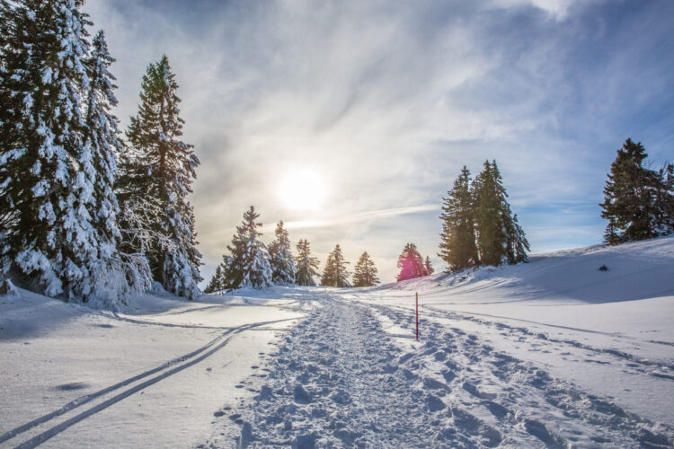 SuisseMobile - Balade en raquettes