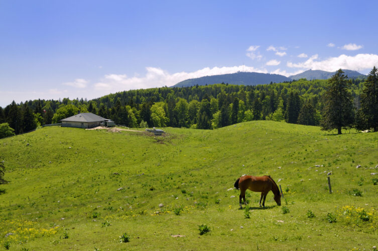 Vallée de Joux