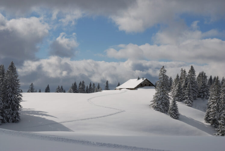 Vallée de Joux