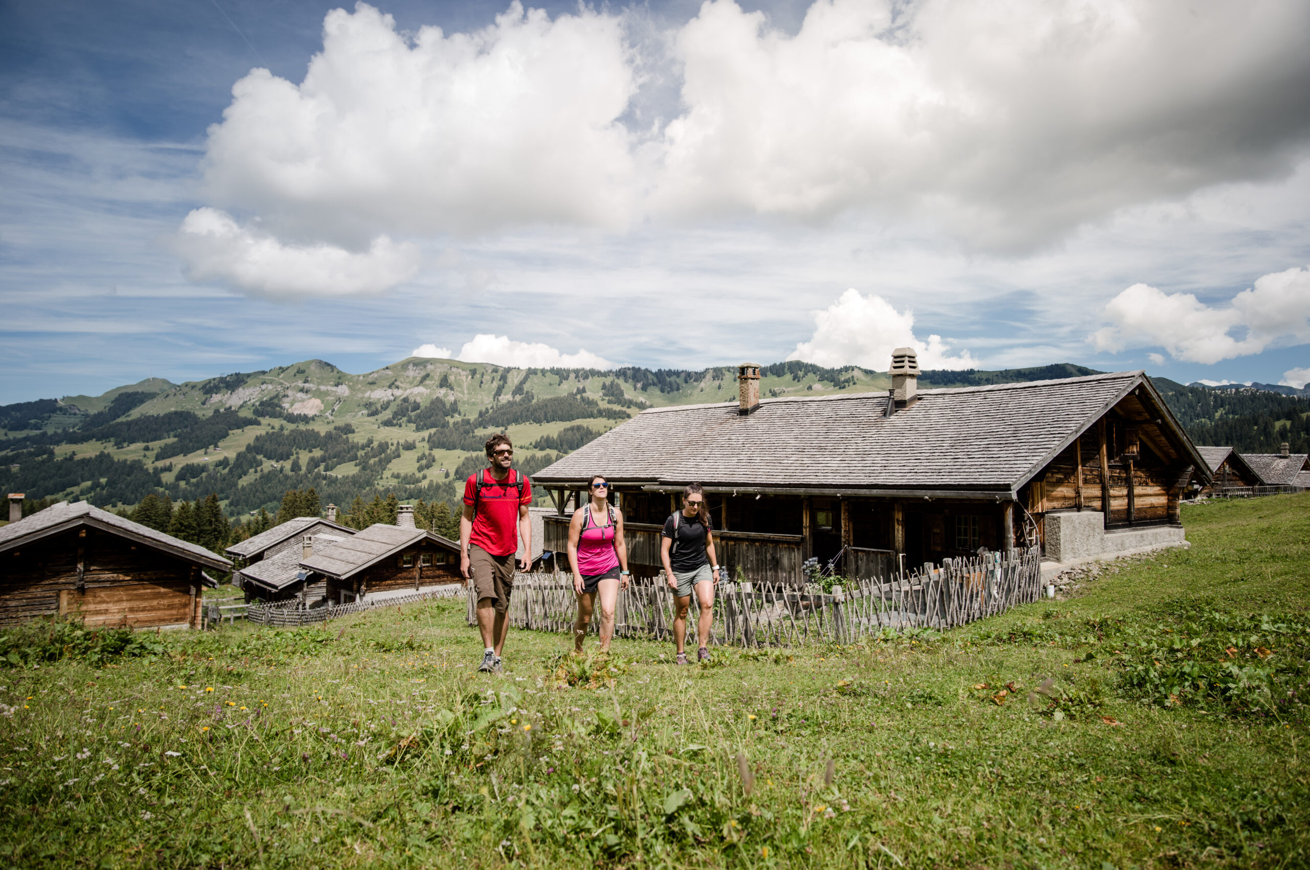 Villars - Gryon - Les Diablerets - Bex