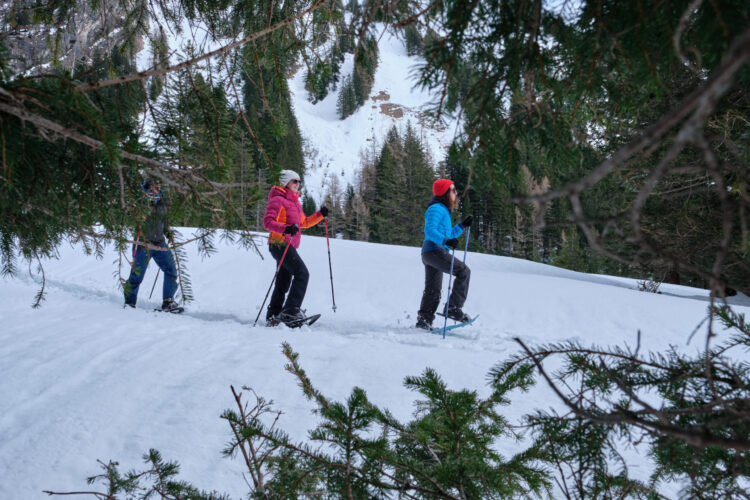 Villars - Gryon - Les Diablerets - Bex