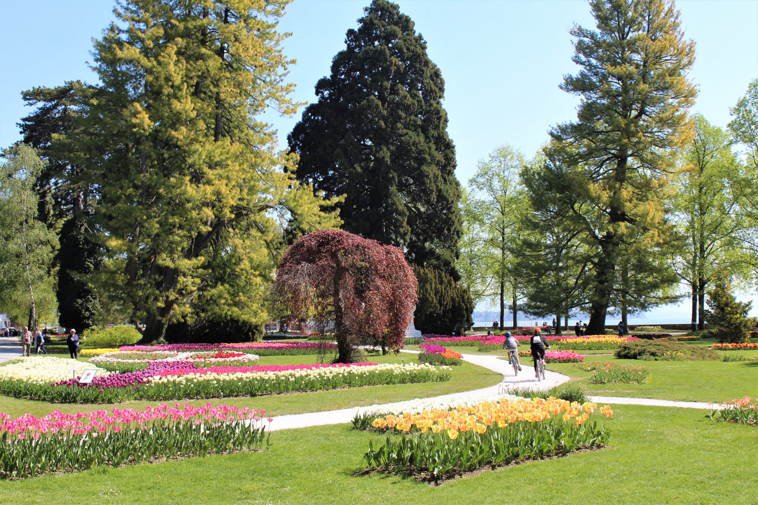 Morges Région Tourisme