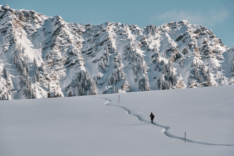 SuisseMobile - ski de fond