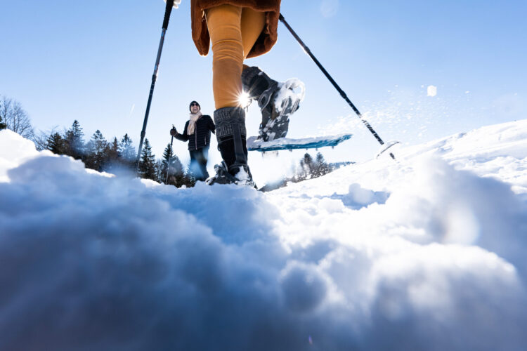 Villars - Gryon - Les Diablerets - Bex